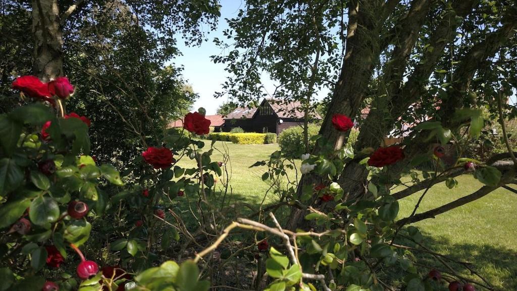 Apartament Owls Nest - Peace And Tranquility Near Woodbridge & Framlingham In Rural Suffolk Zewnętrze zdjęcie