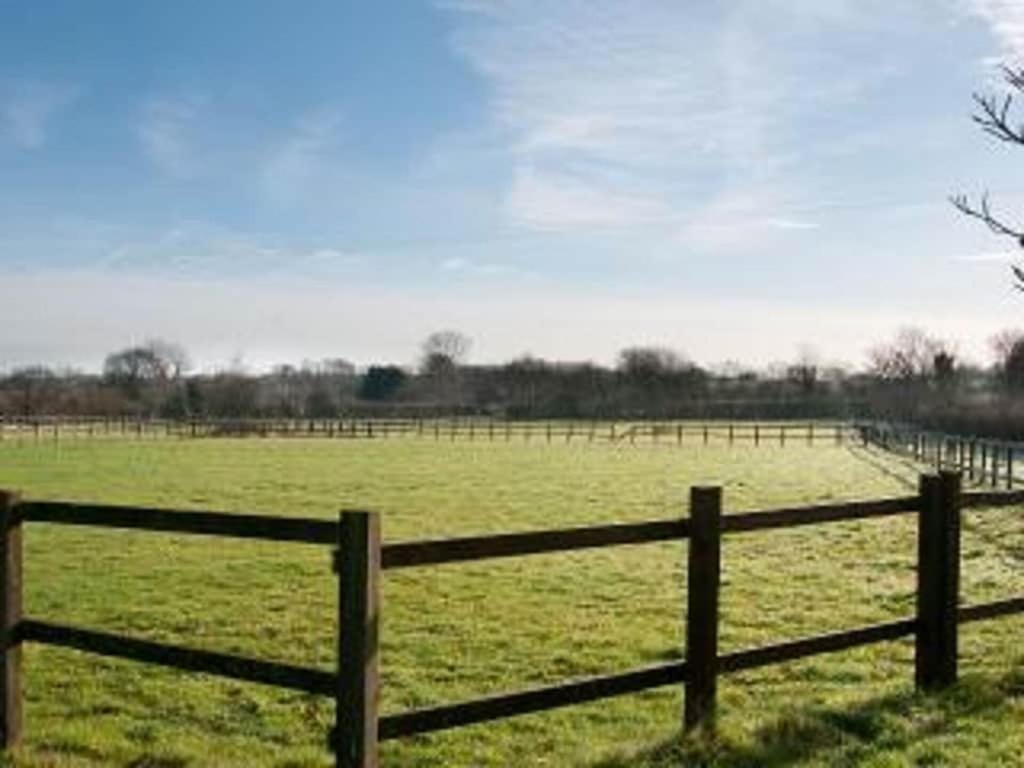 Apartament Owls Nest - Peace And Tranquility Near Woodbridge & Framlingham In Rural Suffolk Zewnętrze zdjęcie