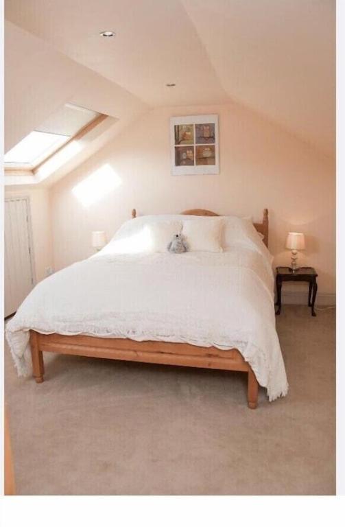 Apartament Owls Nest - Peace And Tranquility Near Woodbridge & Framlingham In Rural Suffolk Zewnętrze zdjęcie
